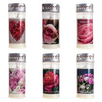 Artikel Grabkerzen mit Motiv Rosen Trauerlichter Gemischt Ø7cm H18,5cm 6St