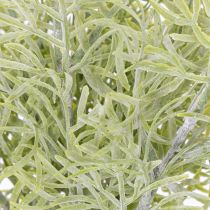 Artikel Zierspargel Zweig naturnahe Ergänzung für Blumensträuße 34cm 7St