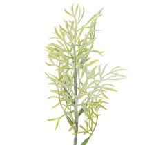 Artikel Zierspargel Zweig naturnahe Ergänzung für Blumensträuße 34cm 7St