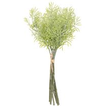 Artikel Zierspargel Zweig naturnahe Ergänzung für Blumensträuße 34cm 7St