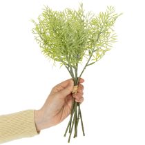 Artikel Zierspargel Zweig naturnahe Ergänzung für Blumensträuße 34cm 7St