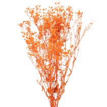 Artikel Schleierkraut Trockenblumenstrauß Gypsophila 75cm 100g