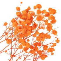 Artikel Schleierkraut Trockenblumenstrauß Gypsophila 75cm 100g