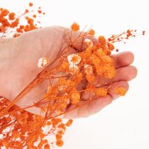 Artikel Schleierkraut Trockenblumenstrauß Gypsophila 75cm 100g