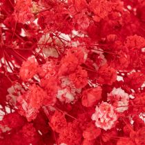Artikel Trockenblumen Schleierkraut Gypsophila Bund 75cm 100g