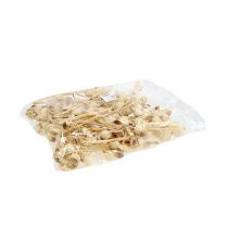 Artikel Hakea mittel 5-9 Köpfe pro Zweig gebleicht 25 St