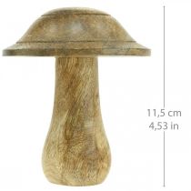 Artikel Holzpilz mit Rillen Holzdeko Pilz Mangoholz Natur 11,5×Ø10cm