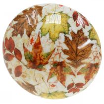 Artikel Holzpilz Deko Herbstlaub Weiß, Bunt Herbstdeko Ø13cm H19cm