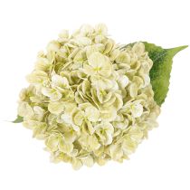 Artikel Künstliche Hortensie Blume mit langem Stiel und Blättern 60cm