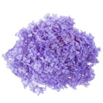 Artikel Trockenblume Hortensie zur eleganten Raumgestaltung und Dekoration 80cm
