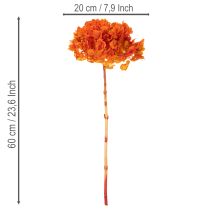 Artikel Hortensie konserviert gefärbt Große Blüte mit langem Stiel 60cm