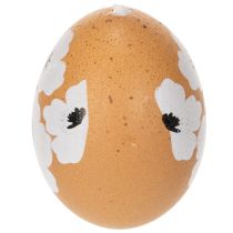 Artikel Ostereier hängende Dekoration Frühling Ostern Echte Hühnereier Natur 6cm 6St
