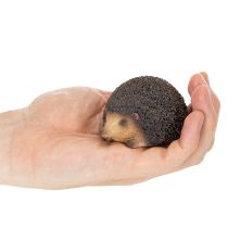 Artikel Igel Deko Figur Kleine Tischdeko für Herbst 8cm