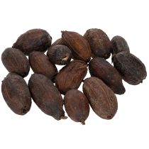 Artikel Kakaofrucht Natur 10-18cm 15 St