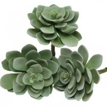Artikel Künstliche Sukkulente Deko Kunstpflanzen Grün 11×8,5cm 3St