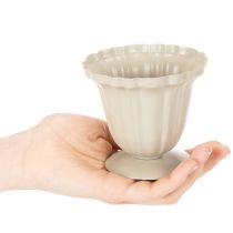 Artikel Dekoschale cremefarbener Pokal klein 10cm