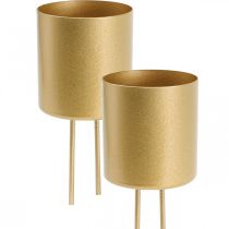 Floristik24 Kerzenhalter zum Stecken Gold Teelichthalter Metall Ø5cm 4St