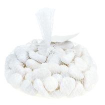 Artikel Kieselsteine im Netz Weiß 2,5cm - 4cm 1kg