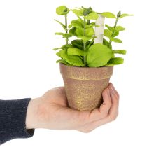 Artikel Kräutertopf künstlich mit Deko Kräutern für Küche Garten Balkon oder Terrasse 15m 3St