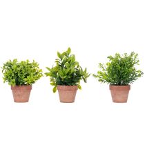 Artikel Kunstpflanze im Blumentopf mit realistischer Textur für Innenräume und Dekoration 18cm 3St