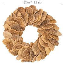 Artikel Baumschwamm Kranz naturfarben für Tür oder Wanddekoration 37cm