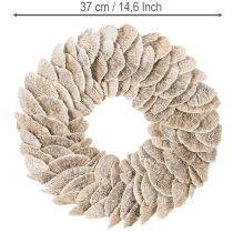 Artikel Kranz Baumschwamm Naturdeko 37cm