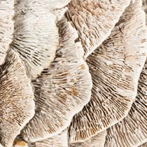Artikel Kranz Baumschwamm Naturdeko 37cm