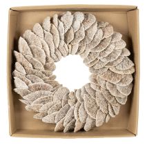 Artikel Kranz Baumschwamm Naturdeko 37cm