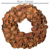 Artikel Landlotus Kranz getrocknet Dekoration Türkranz 35cm