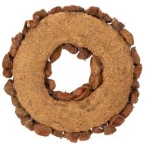 Artikel Landlotus Kranz getrocknet Dekoration Türkranz 35cm