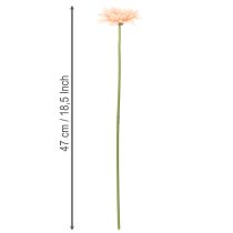 Artikel Künstliche Blumen Gerbera Apricot 47cm 6St