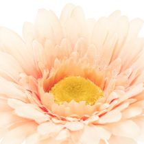 Artikel Künstliche Blumen Gerbera Apricot 47cm 6St