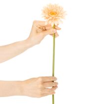 Artikel Künstliche Blumen Gerbera Apricot 47cm 6St