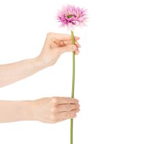 Artikel Künstliche Blumen Gerbera Garten Kunstblumen Lila 47cm 6St