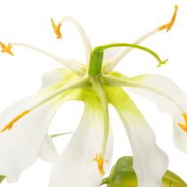 Artikel Künstliche Gloriosa Blume weiss gelb eleganter Blütenzweig für Dekoration 80cm 3St