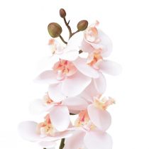 Artikel Künstliche Orchidee Rosa Phalaenopsis Real Touch 58cm