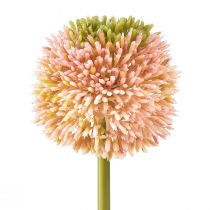 Künstlicher Allium Zierlauch Rosa Grün Ø10cm L65cm