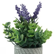 Artikel Künstlicher Lavendel im Topf Keramik Violett Grün H22cm