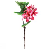 Artikel Künstlicher Orchideenzweig Bauhinia Pink Kunstpflanze 62cm