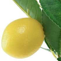Artikel Künstlicher Zitronenbaum im Topf Mediterran H58cm