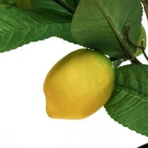 Künstlicher Zitronenbaum im Topf Zitronenbäumchen H65cm