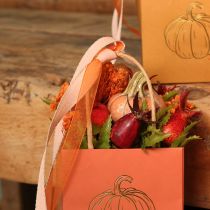 Artikel Kürbis im Set Kleine Deko Kürbisse für Herbstdekoration 5cm 3St