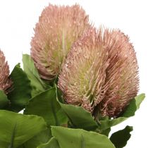 Artikel Künstliche Banksia Proteaceae Weiß-Lila L58cm H6cm 3St