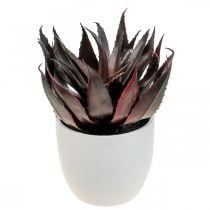 Floristik24 Kunstpflanze Aloe Vera im Topf Dekopflanze Grün H20cm
