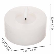 Artikel LED-XL-Teelicht Weiß Echtwachs mit Timer Warmweiß 6cm 2St