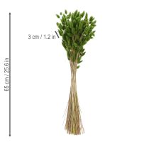 Artikel Lagurus Getrocknet Hasenschwanzgras 65-70cm 75g