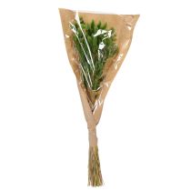 Artikel Lagurus Getrocknet Hasenschwanzgras 65-70cm 75g