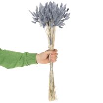 Artikel Lagurus Getrocknet Hasenschwanzgras Grau für Trockensträuße 60cm 75g