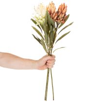 Artikel Kunstblume Protea Leucadendron mit langem Stiel 65cm 3St