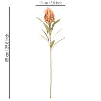 Artikel Kunstblume Protea Leucadendron mit langem Stiel 65cm 3St